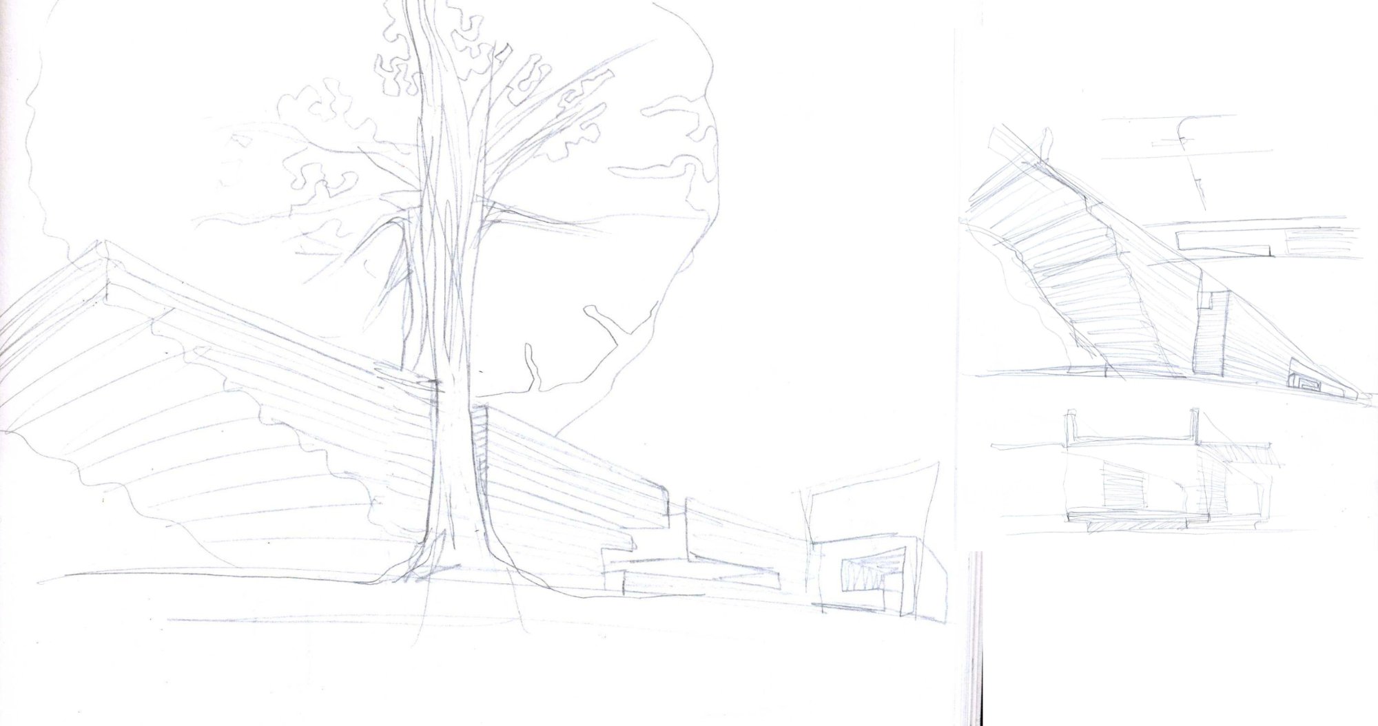 Pencil sketch — building and horse chestnut tree