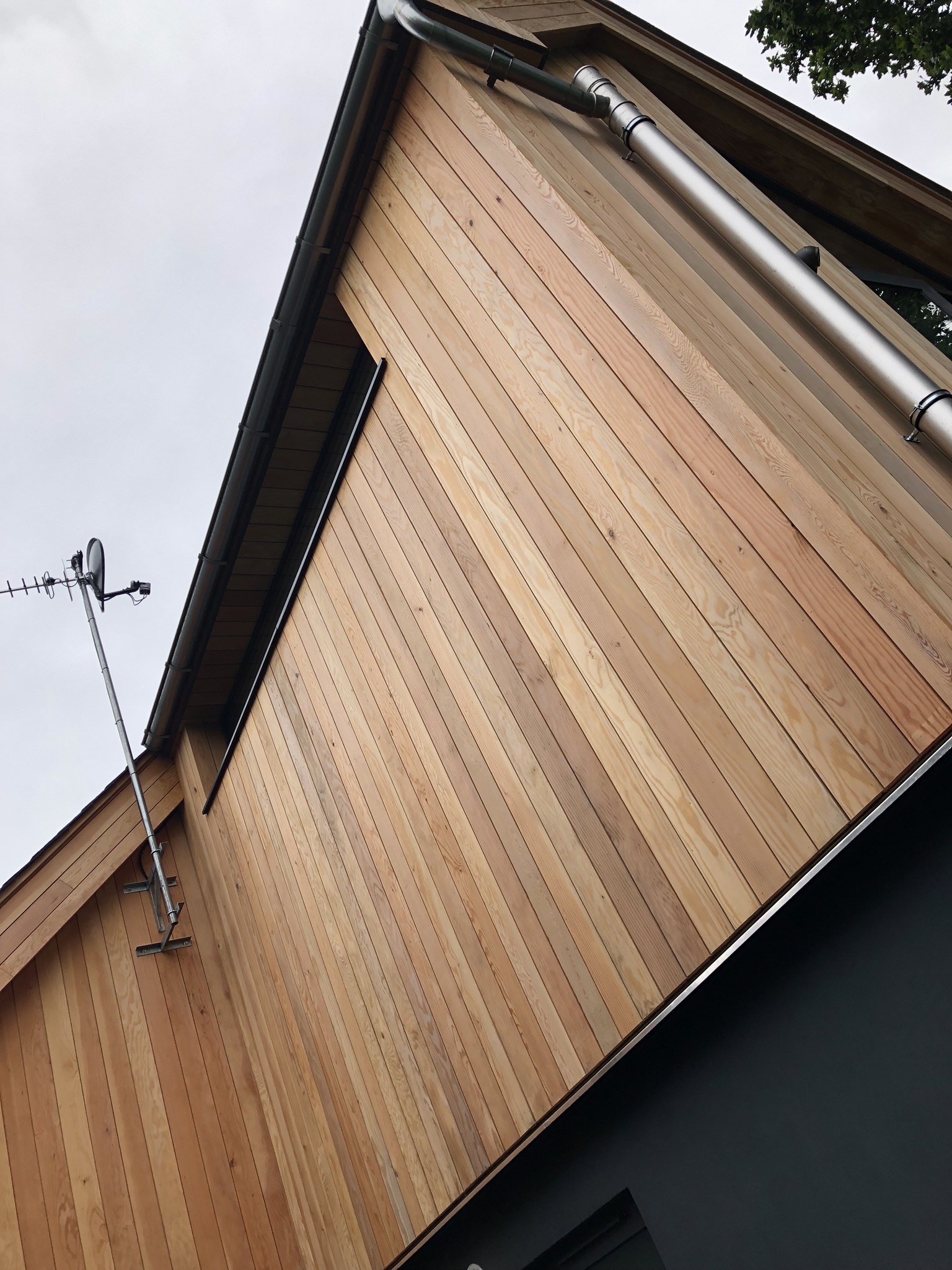 Looking up at the sharp lines of the Douglas Fir rainscreen cladding