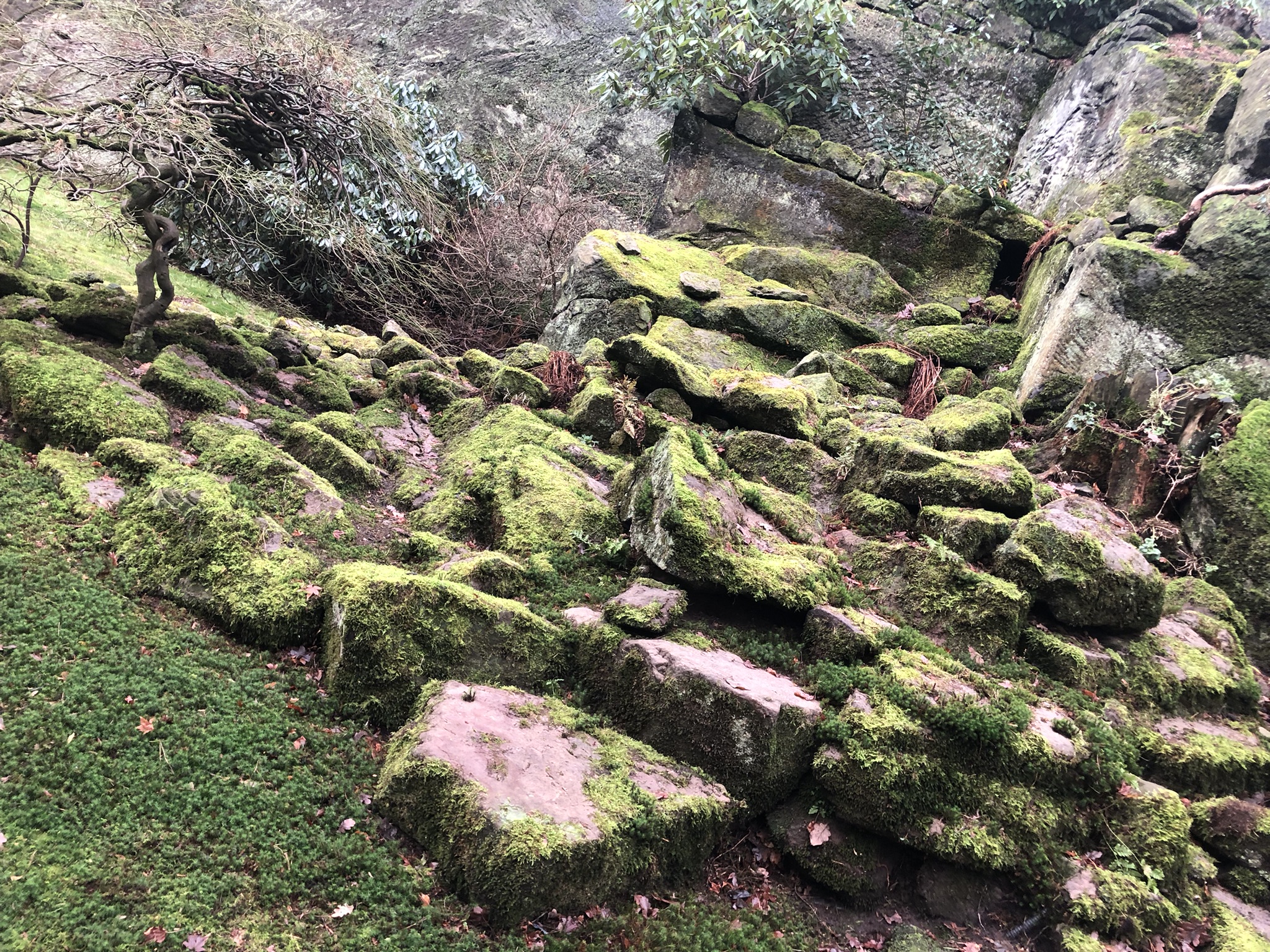 Interior angle within the drinks room